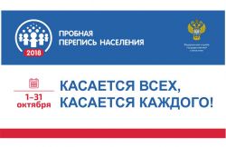 Смоленскстат просит смолян принять активное участие в Интернет-переписи с 1 по 10 октября 2018 года
