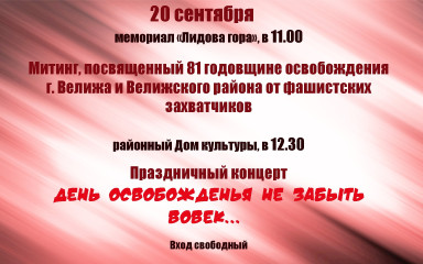 мероприятия, посвященные Дню освобождения г. Велижа и Велижского района - фото - 3