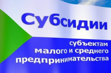 предоставление субсидий субъектам МСП, заключившим договор (договоры) лизинга оборудования с российскими лизинговыми организациями, на возмещение части затрат на уплату первого взноса (аванса) - фото - 1