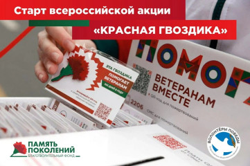 стартовала всероссийская благотворительная акция помощи ветеранам «Красная гвоздика» - фото - 2