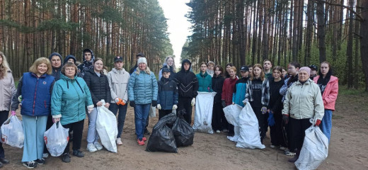 велижане присоединились к Всероссийскому субботнику - фото - 21