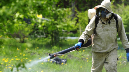 внимание: акарицидная обработка - фото - 1