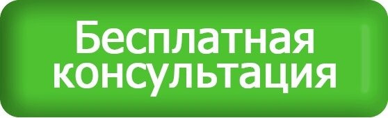 проведена консультация для самозанятого гражданина о получении социального контракта и о программе «Первый старт» - фото - 1