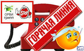 о проведении Всероссийской «горячей линии» по вопросам профилактики гриппа и ОРВИ - фото - 1
