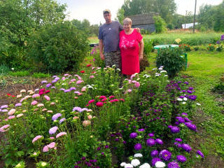 первое место в областном конкурсе «Ветеранское подворье» заняла жительница д. Чепли - фото - 13