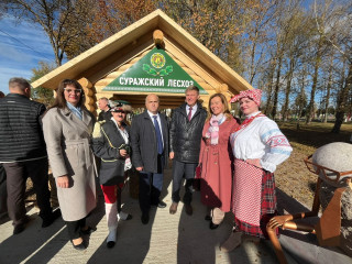 делегация Велижского муниципального округа приняла участие в фестивале-ярмарке «Дожинки-2025» - фото - 8