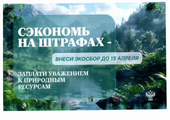 экосбор- развитие отрасли - фото - 6