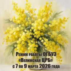 режим работы ОГБУЗ «Велижская ЦРБ» в праздничные дни - фото - 1