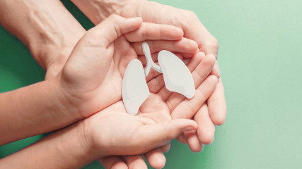 всемирный день борьбы с туберкулезом в 2026 году: история и традиции праздника - фото - 1