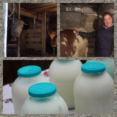 история успеха - фото - 1