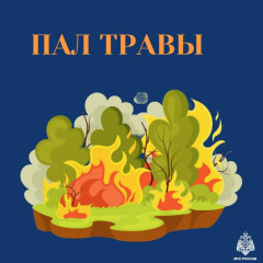 осторожно: пал травы - фото - 6