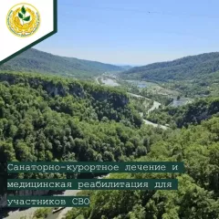 как участникам СВО получить направление на санаторно-курортное лечение, медицинскую реабилитацию и бесплатный проезд к месту лечения и обратно - фото - 1