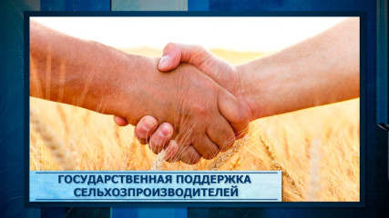 актуальные меры государственной поддержки аграрного сектора: субсидии, льготное кредитование, грантовая поддержка и социальные контракты - фото - 1