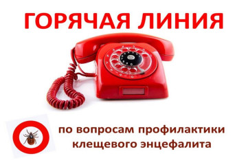 горячая линия по профилактике клещевого энцефалита - фото - 1