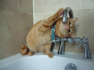 внимание, отключение воды - фото - 1