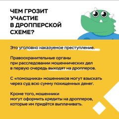 дропперство - фото - 4