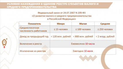 единый реестр МСП - фото - 4